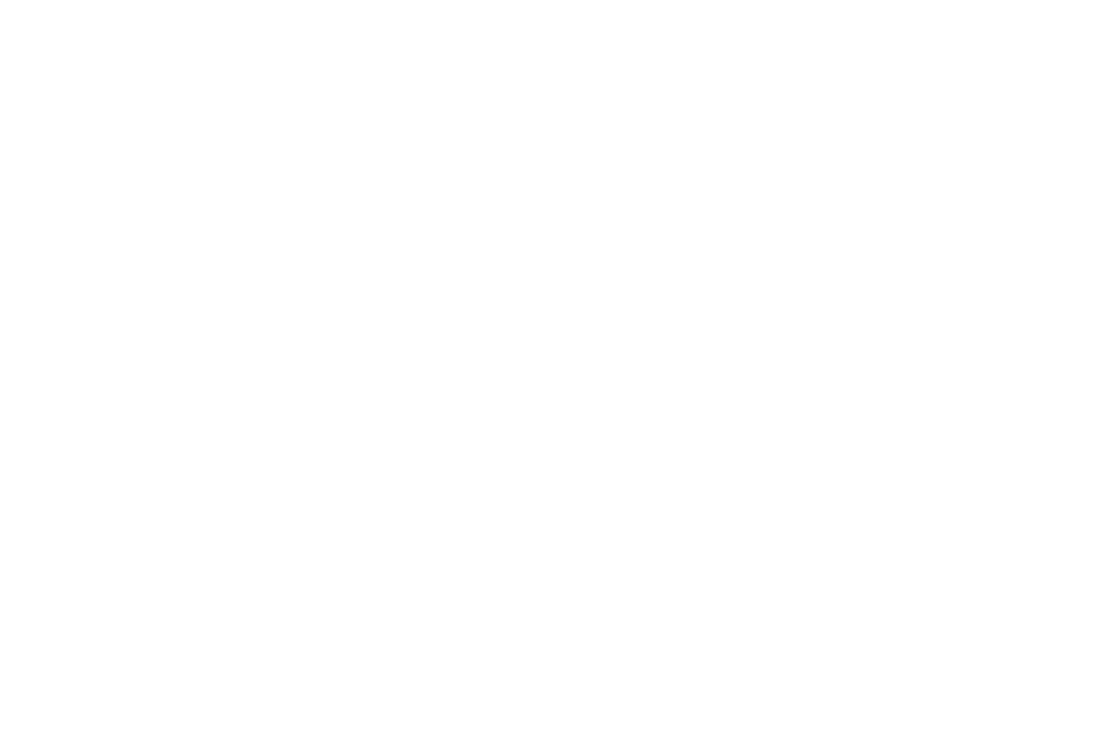 VNPT International